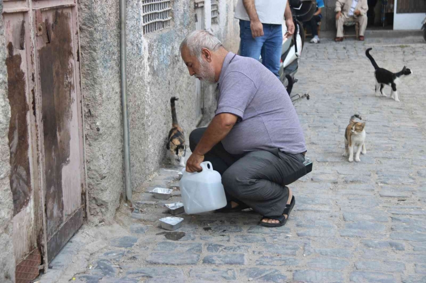 Günde 3 bin hayvana mama veriyor