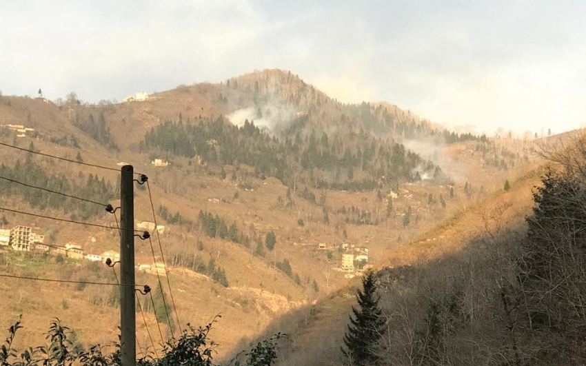 Örtü yangınları ile ilgili Valilik’ten bir açıklama daha geldi