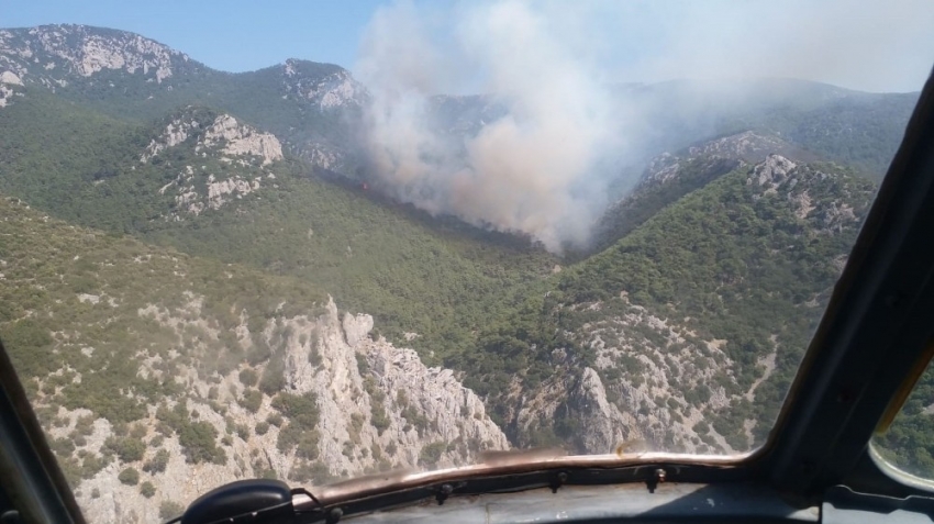 İzmir’de makilik alanda çıkan yangın kontrol altına alındı