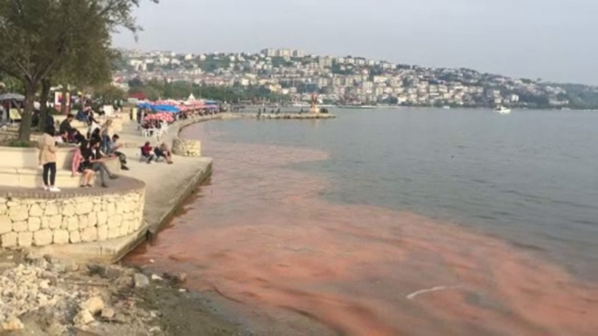 Büyükçekmece’de deniz turuncuya döndü