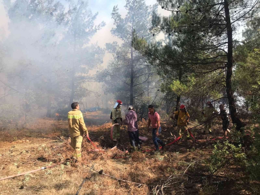 Orman yangınında ekipler seferber oldu