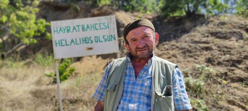 Bursa'da bu bahçeden meyve koparmak serbest