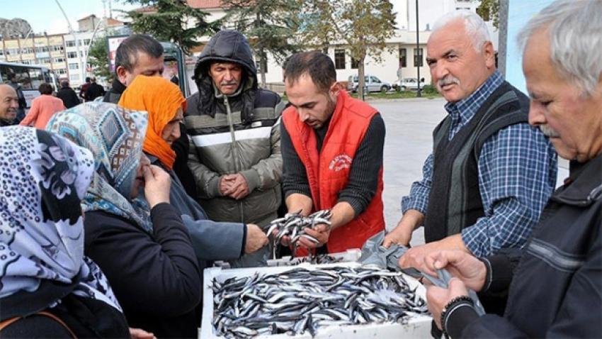 2 buçuk ton hamsiyi ücretsiz dağıttı