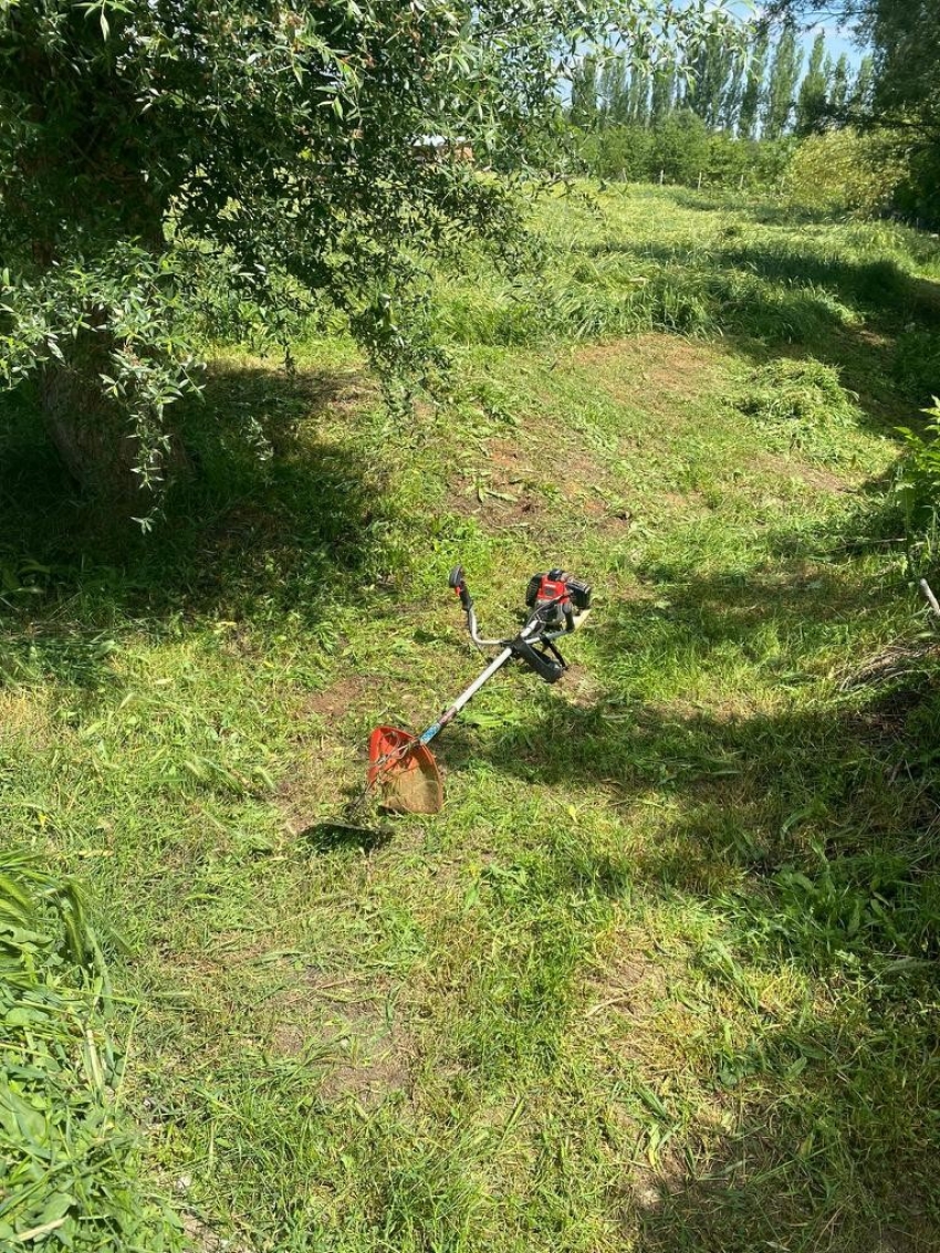 Makineyle ot biçen kadın gürültü nedeniyle komşusu tarafından vuruldu