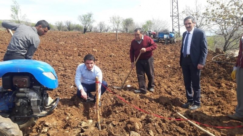 Pütürge kırmızısı çeşidinin geliştirilmesi projesi