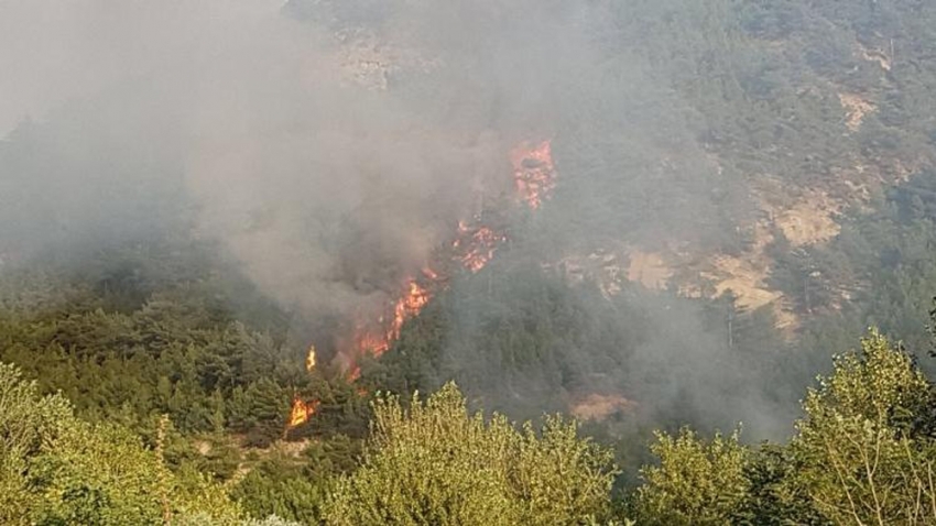 Karabük’te orman yangını