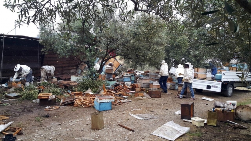 Arı kovanı taşıyan TIR devrildi