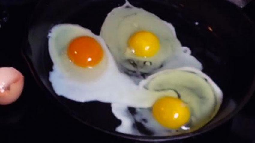 Hangi yumurta daha doğal renginden anlaşılabilir mi?