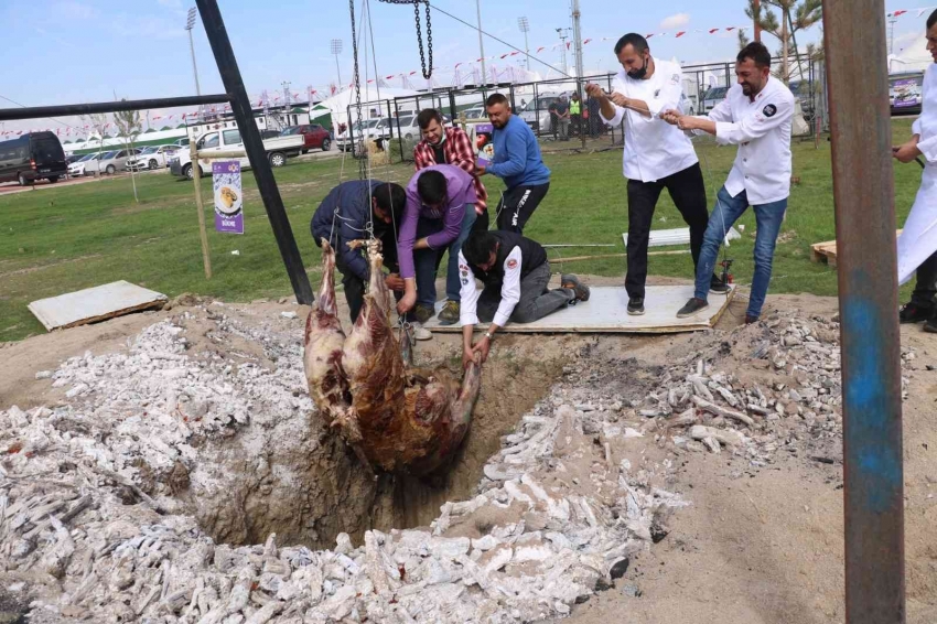 2 tonluk danayı ateşte dikey pişirmek isteyen aşçılar bu yıl da danayı çukura düşürdü