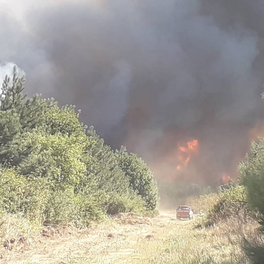 Korkutan orman yangını hakkında açıklama