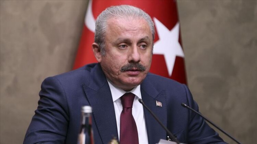 Mustafa Şentop, 