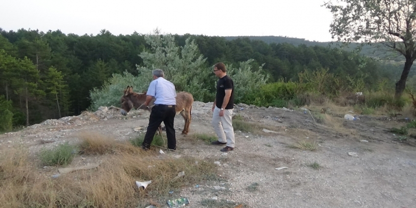 ’Eşek inadı’ dedikleri tam da bu!