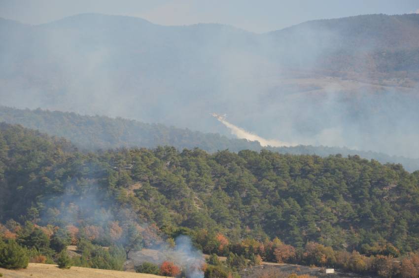 Tokat’ta orman yangını