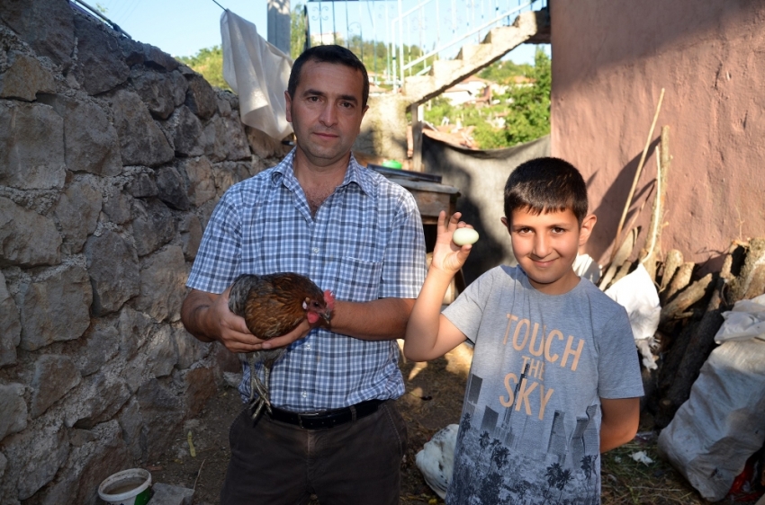 Yeşil yumurta yumurtlayan tavuk şaşırttı