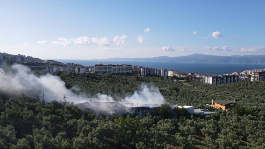 Bursa'da çiftlik küle döndü