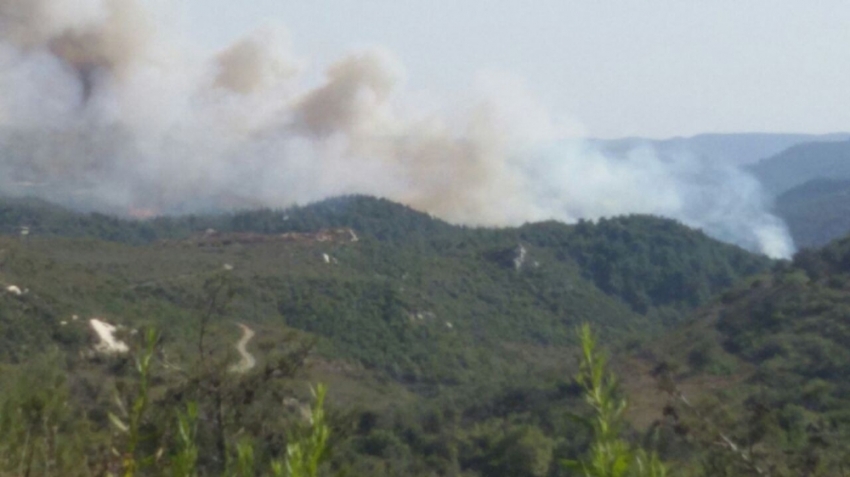 Hatay’a düşen top mermisi yangına sebep oldu