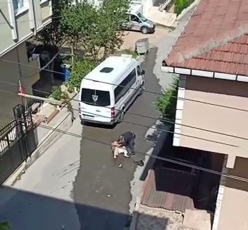 Eşine sokak ortasında dehşeti yaşatan gözü dönmüş koca tutuklandı