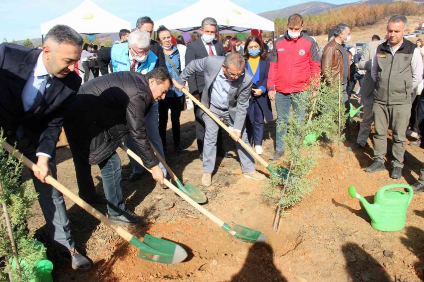 Fidanlar toprakla buluştu