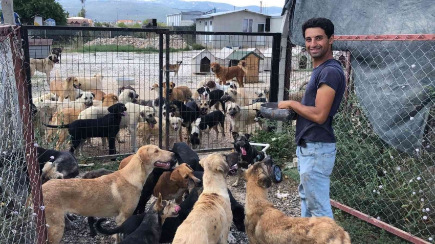 Bursa'da sokak hayvanlarına hayat veren bağış