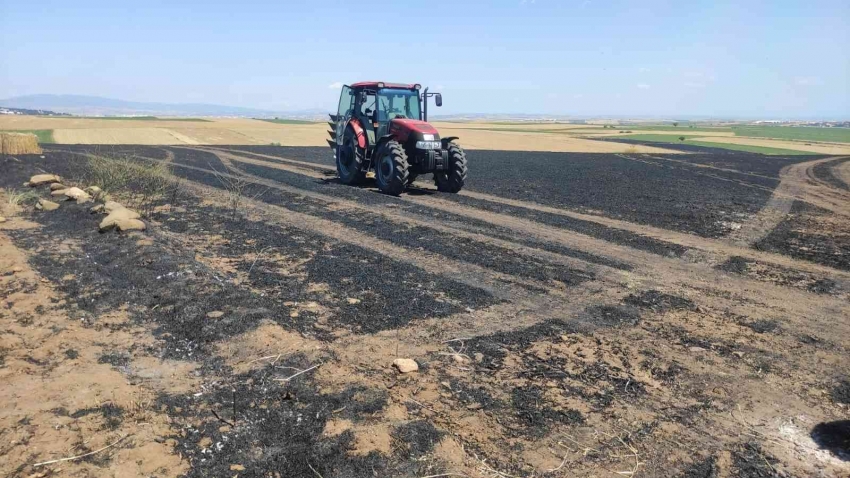 100 dönümlük buğday arazisi küle döndü