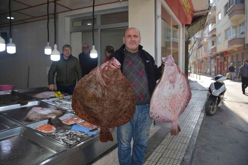 Balıkçıların ağlarına dev kalkan balıkları takıldı