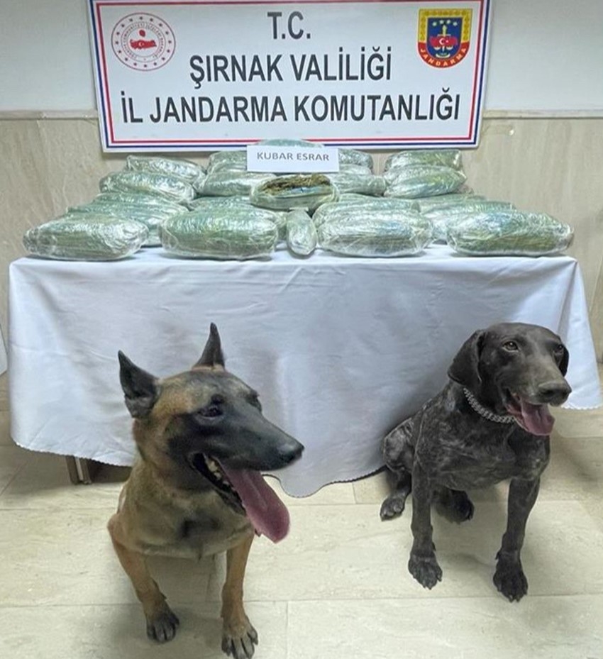 28 kilo 542 gram kubar esrar ele geçirildi