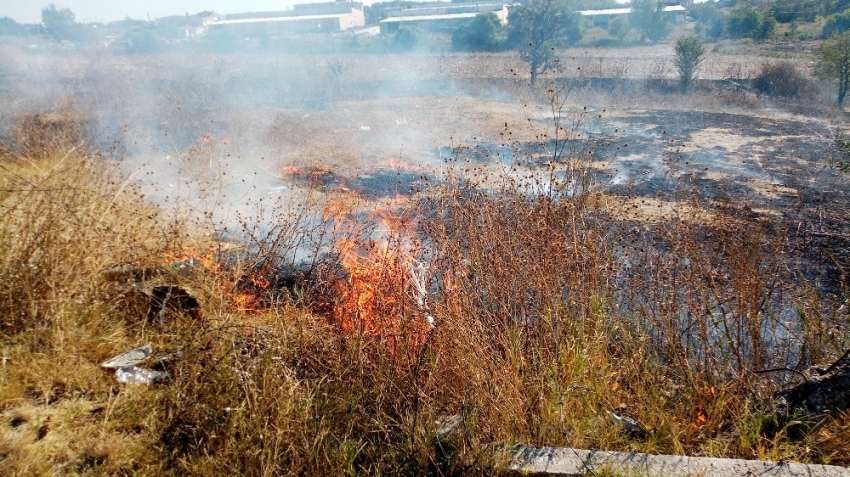 Malkara’da anız yangını