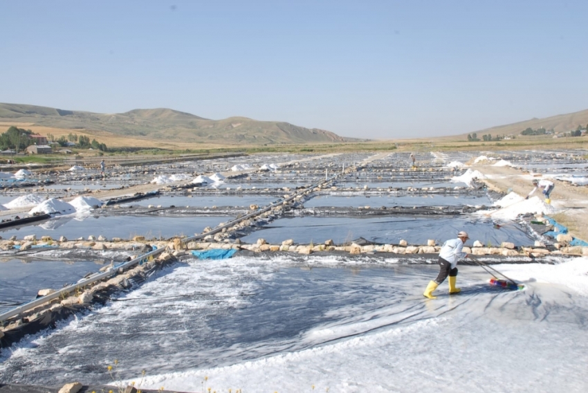 Burada günde 120 ton tuz üretiliyor