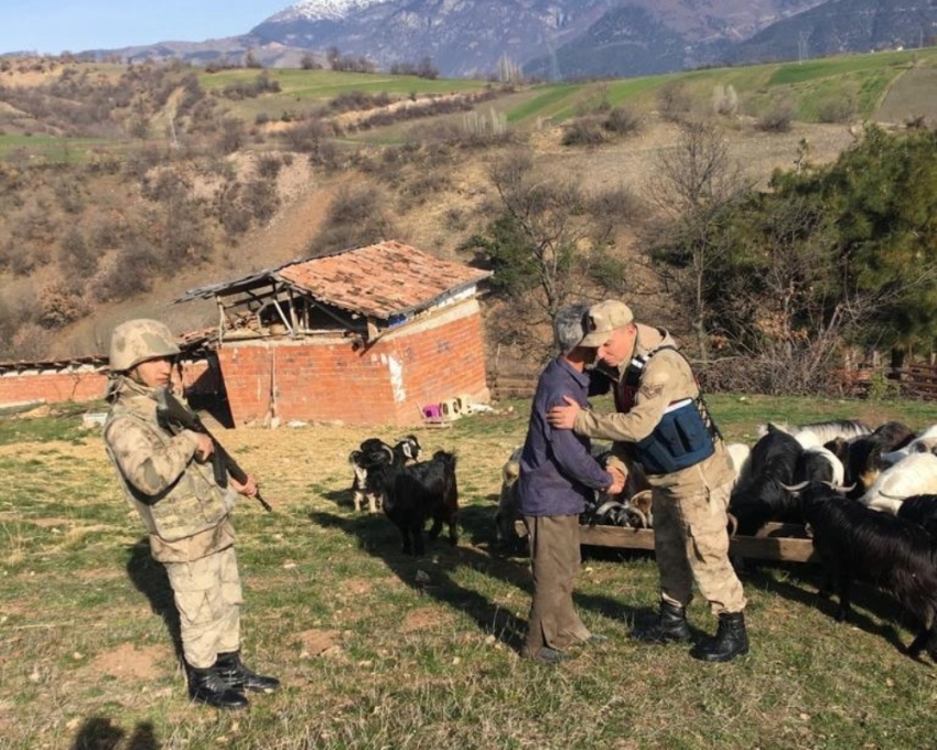 Kayıp keçileri jandarma buldu