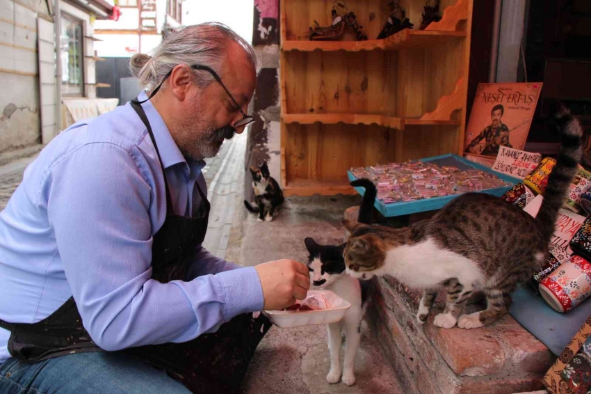 Ciğerle beslediği sokak kedilerine Zeki Müren dinletiyor