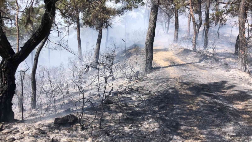 Fethiye’deki yangın kısmen kontrol altına alındı