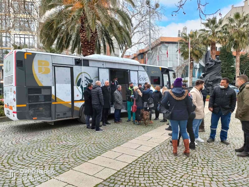 Vetbüs ile Şifa, can dostların ayağına gidiyor