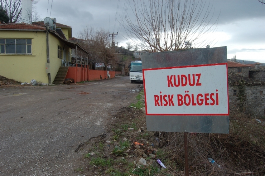 O ilde kuduz paniği