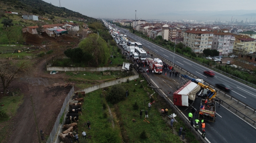 TEM’de feci kaza: 20 kilometrelik araç kuyruğu oluştu