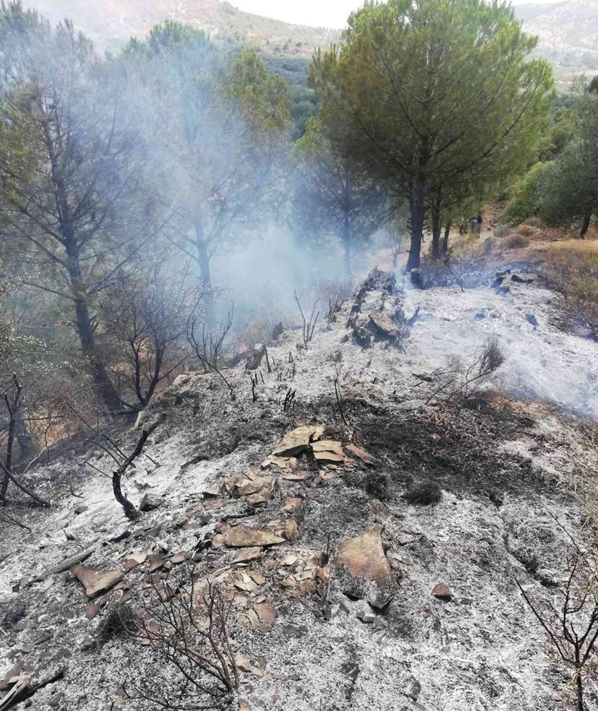 Trafoya çarpan şahin yangına sebep oldu