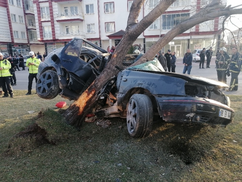 Refüje çıkan otomobil, ağacı yerinden söktü