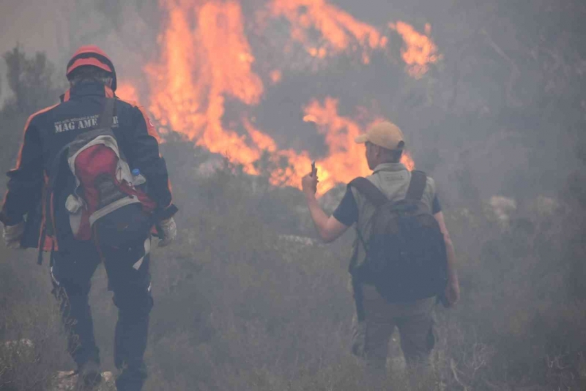 Bodrum’daki orman yangınında sabotaj ihtimali 