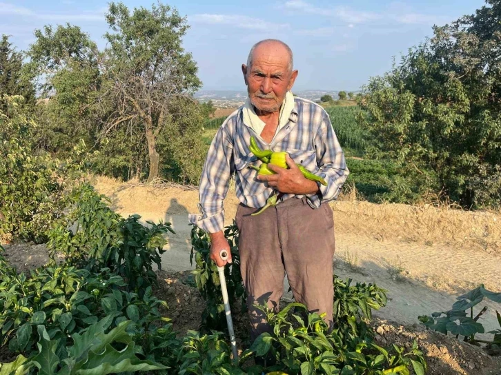 88 yaşında üretmeye devam ediyor
