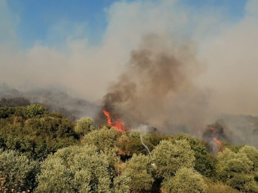 İzmir’de korkutan orman yangını