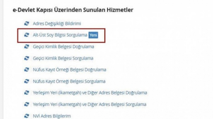 Soyağacı sorgulama yeniden aktif edildi