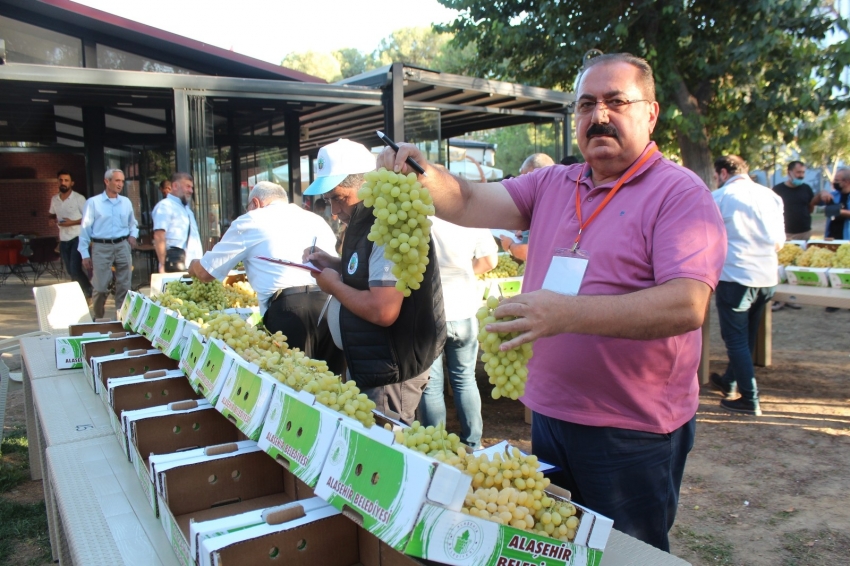 Çiftçiler, tezgahtaki üzümleriyle yarıştı