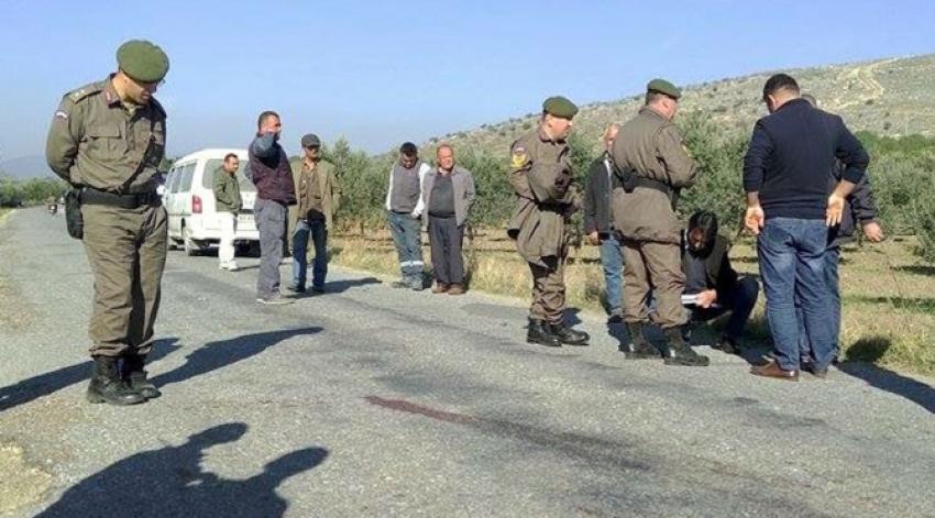 Zeytin paralarını alıp öldürdüler