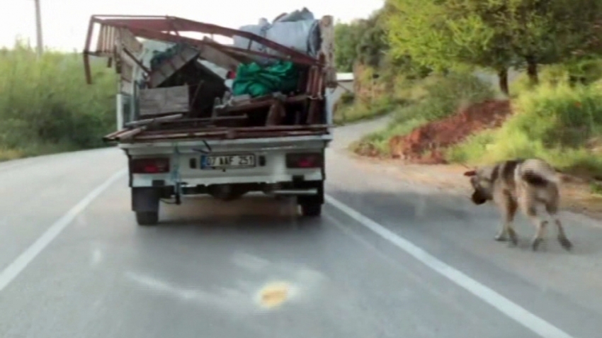 Vicdansızlık böyle görüntülendi!