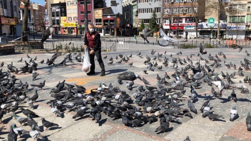 Meydanları mesken tutan güvercinleri polisler besledi