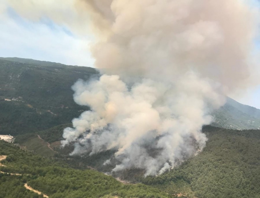 Hatay’da orman yangını