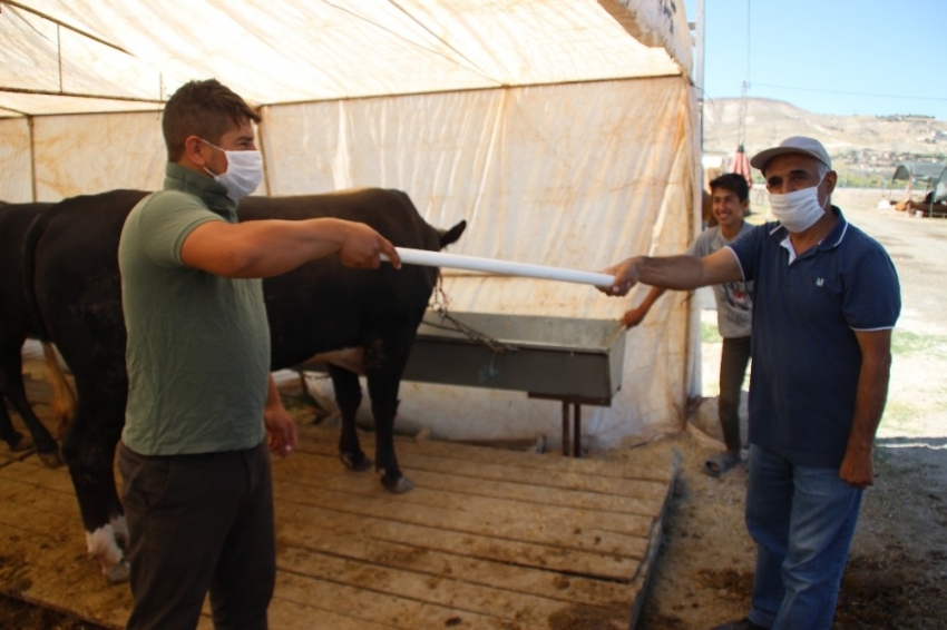 Kurban pazarlarının yeni trendi: Pazarlık borusu