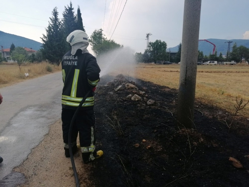 Muğla’da ‘Yıldırım’ yangınları başladı