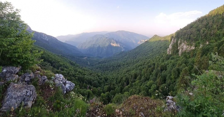 Ormanlık alanlara giriş çıkışlar sınırlandırıldı