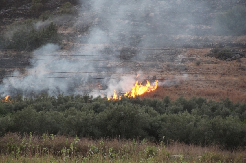 Hatay’da otluk yangını kontrol altına alındı