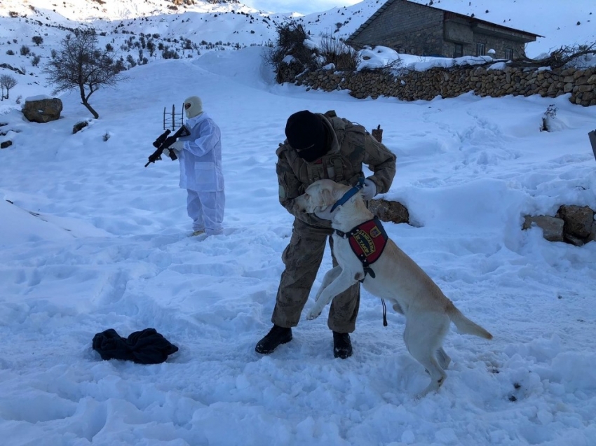 Şırnak’ta kayıp Süryani çifti arama çalışmaları devam ediyor